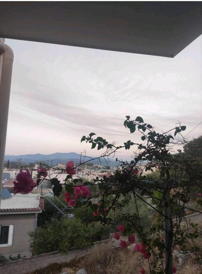 Όμορφο Και Ευρύχωρο Διαμέρισμα Με Θέα! Leilighet Návplio Eksteriør bilde
